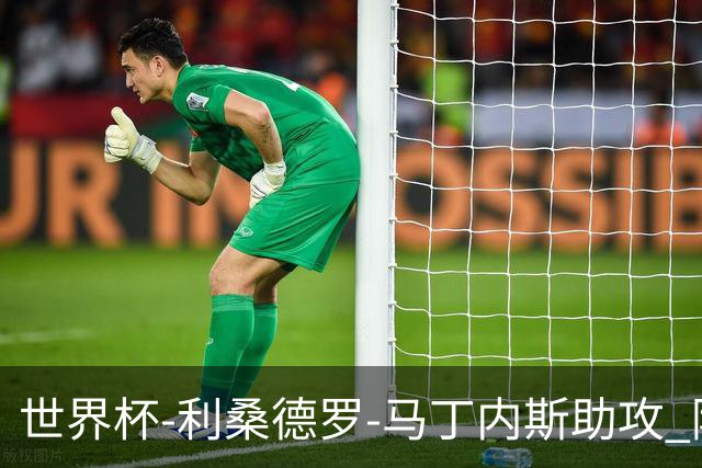 世界杯-利桑德罗-马丁内斯助攻 阿根廷半场暂1-0佛得角