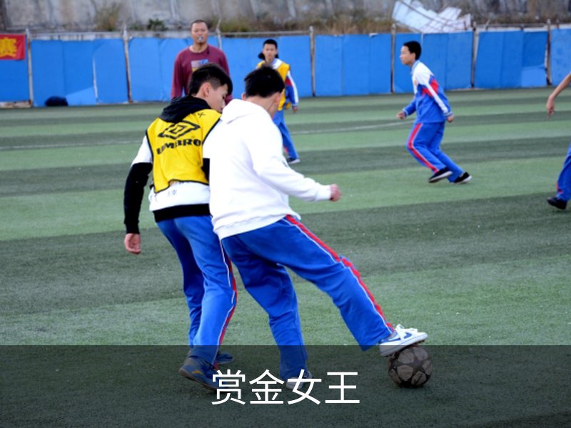 赏金女王概况